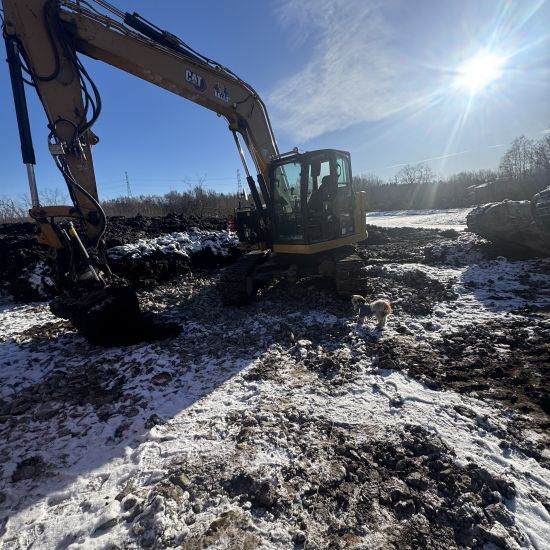 Caterpillar 310NE